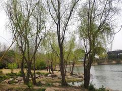 -长广溪湿地公园