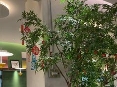 -Aqua Oasis 水天堂(太湖中心mall店)