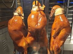 -尚府一品·烤鸭·新京菜(圆明园店)