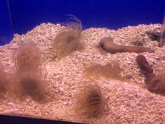 -常州海昌海洋探索馆