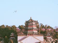 -颐和园