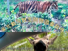 -秦皇岛野生动物园
