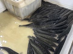 -都江堰石锅鱼