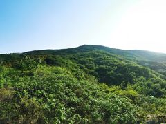 -连云港云龙涧原生态风景区