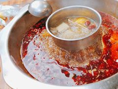 -金鼎雪山牦牛杂火锅(理县总店)