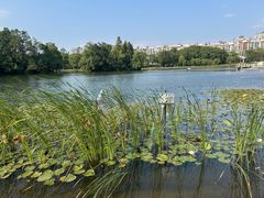 -新江湾城公园