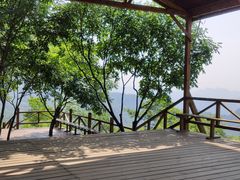 -大岭沟猕猴桃谷风景区