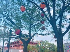-大唐不夜城