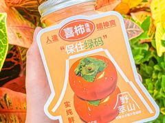 -野萃山·潮汕厚果汁(十亩地店)
