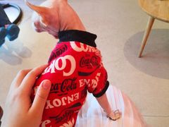 -藏猫猫咖啡主题馆(中央大道店)