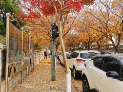 -八大关景区