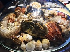 -睿柏云酒店-餐厅