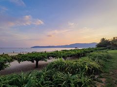 -三亚亚龙湾天域度假酒店