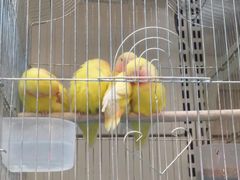 -山东嘉汇文化用品有限公司张店凤凰国际分公司(新村西路店)