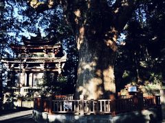 -安溪清水岩
