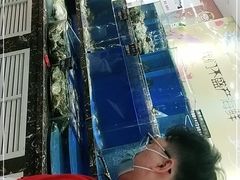 -河马鲜生海鲜超市(风荷园店)