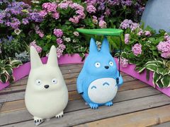 -上海滨江森林公园