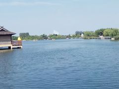 -杭州湾海上花田景区