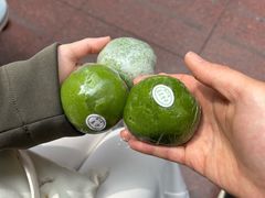 -沈大成(南京东路店)