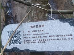 -海南霸王岭国家森林公园
