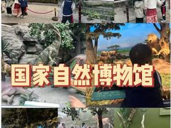 -国家自然博物馆