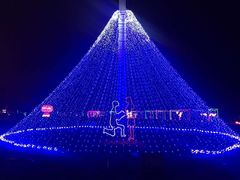 -祥源·阜阳生态乐园