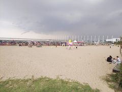 -碧海金沙