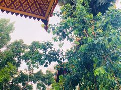 -西双版纳总佛寺