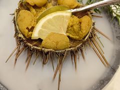 生吃活海胆-品海楼·大连海胆锅贴馆(东港店)