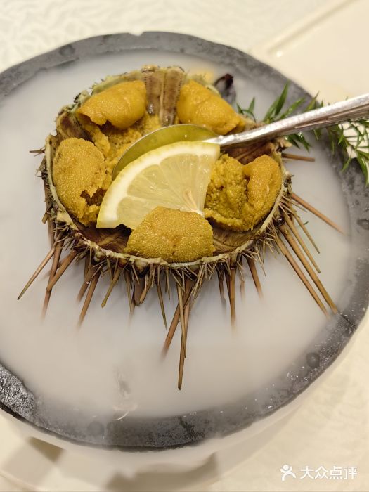 品海楼·大连海胆锅贴馆(东港店)生吃活海胆图片