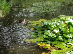 -长白岛森林公园