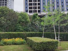 -映月湖中央公园