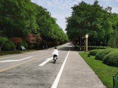 -西安大兴医院