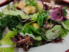 -Tubestation站点比萨(五道营店)