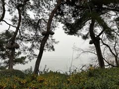 -东湖听涛景区