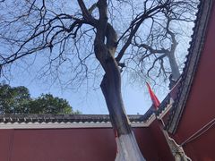 -长春观