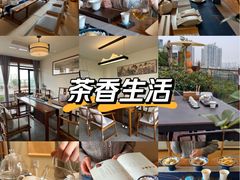 -小茶闲舍·观景商务茶馆(广州塔店)
