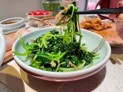 邹山腐皮鸡毛菜-竹外桃花·江南小酒馆(SKP·S店)