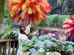 -正佳雨林生态植物园