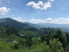 -紫鹊界梯田景区