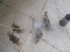 -乡乐园蟹庄·阳澄湖农家乐