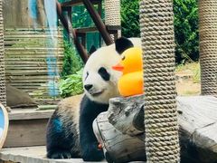 -大连森林动物园