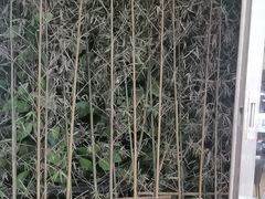 -绿雅居原生态农庄(小涌店)