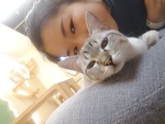 -猫和宫(六道口店)