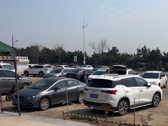 -老太太海鲜城(森林公园任家台店)