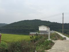 -南京维景国际大酒店(南京博物院店)