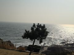 -燕儿岛山公园