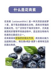 点击看大图 -玛莲朵·海菲秀冰珀科