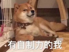-鹏祖料理