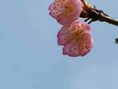 -龙寺生态园